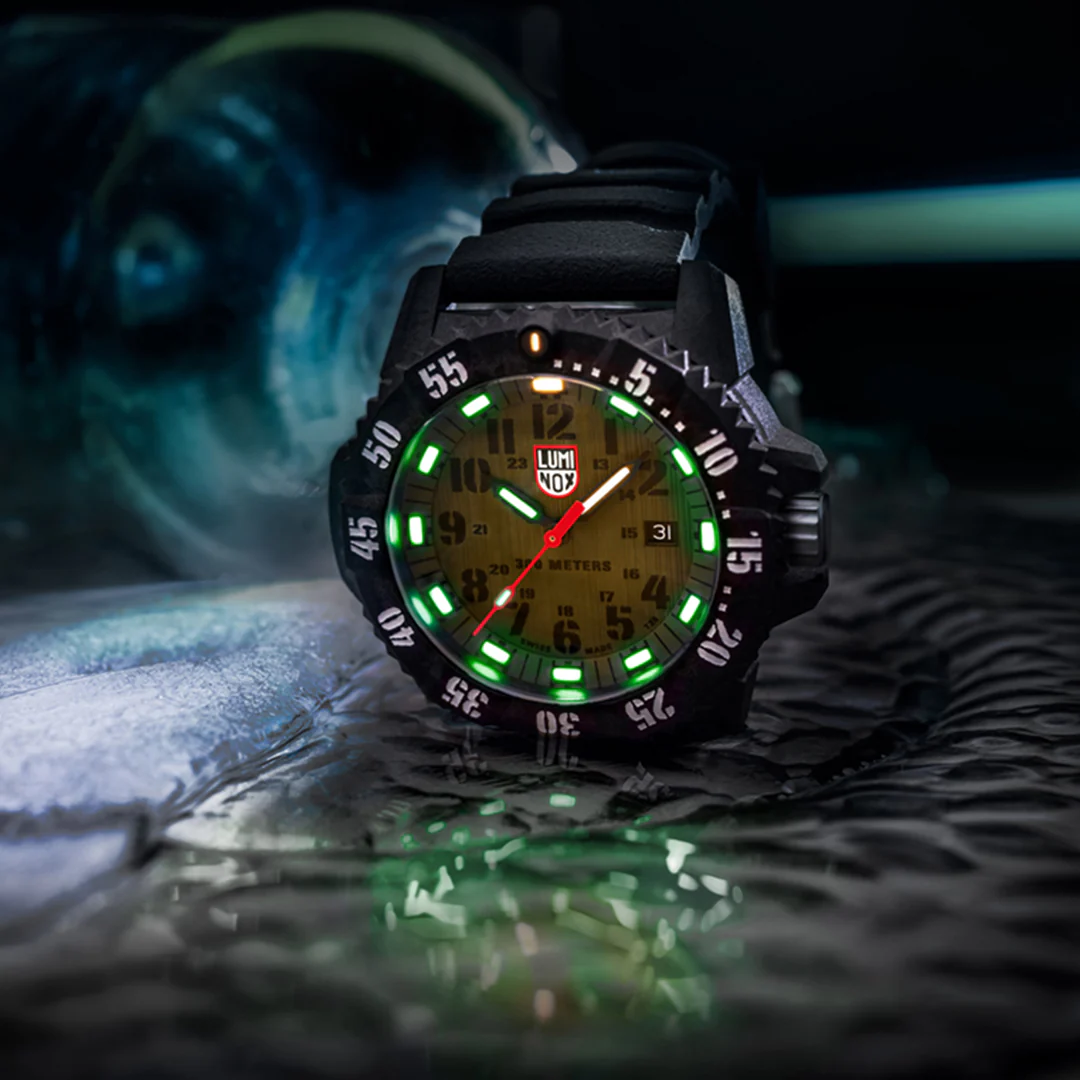 Luminox Master Carbon Seal 3800 Series Ref. 3813.L - Image 4