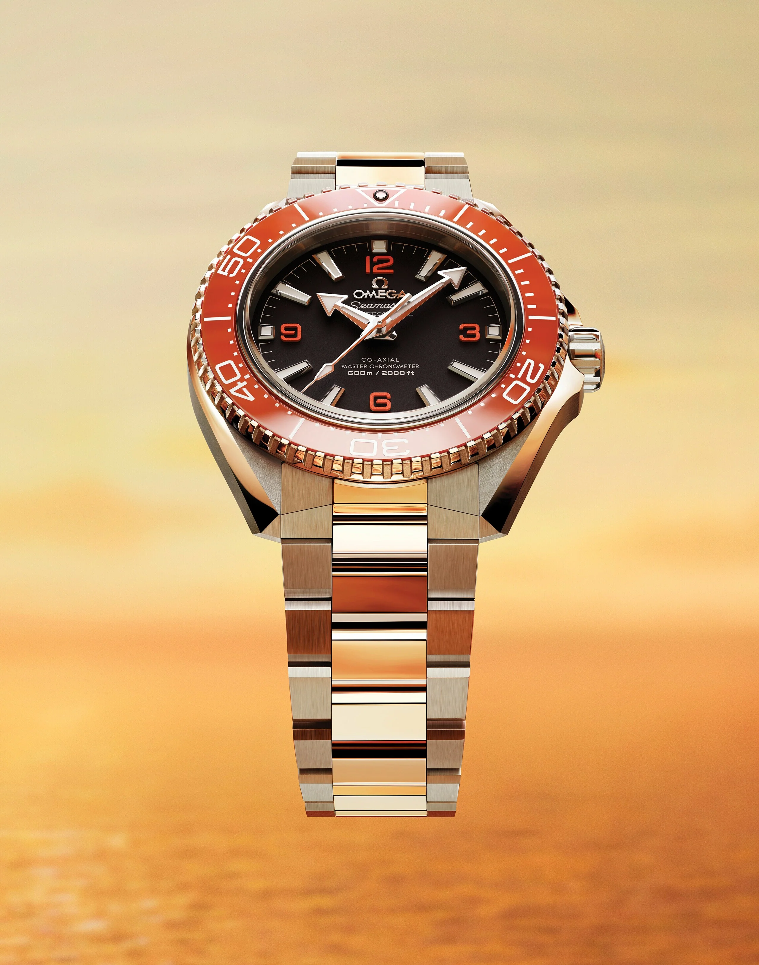 OMEGA 217.30.42.21.01.003 New Seamaster Planet Ocean 600M 42 mm, steel on steel - Image 6