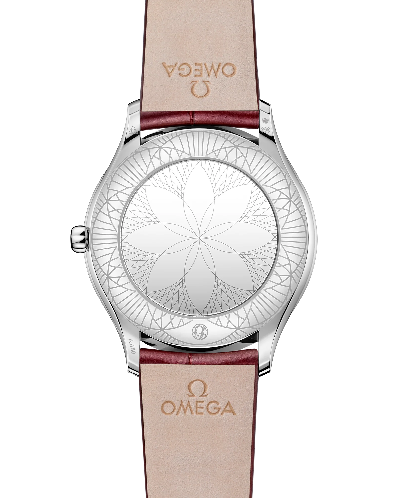 OMEGA 428.58.36.60.55.001 DE VILLE TRÉSOR 36 mm, Canopus Gold™ on leather strap - Image 2