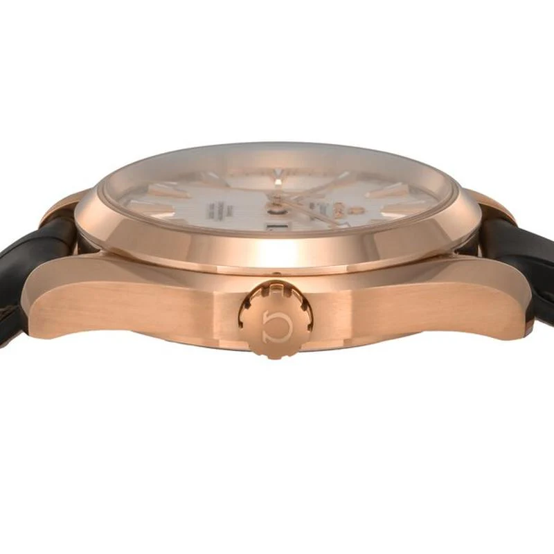 Omega Seamaster Aqua Terra 150M Co-Axial Chronometer Silver Parallel Import 231.53.43.22.02.002 - Image 3