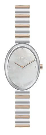 SKAGEN SKW3184 Elegant Silver Design - Oval Case - Minimalist Style - Durable Stainless Steel