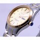 Sun Flame MJZ002-G Elegant Men's Watch with Day-Date Function Durable Stainless Steel Water Resistant Design - Image 2